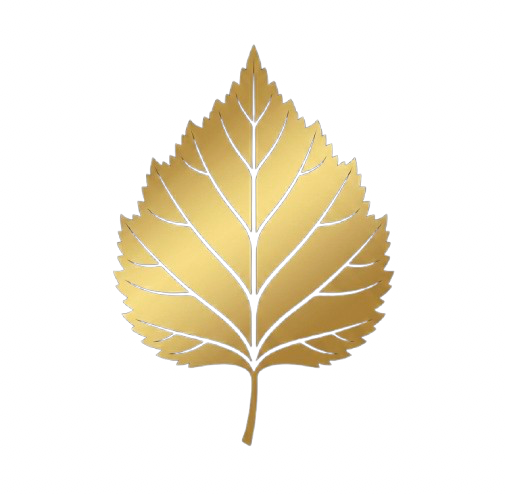 Birch Finance